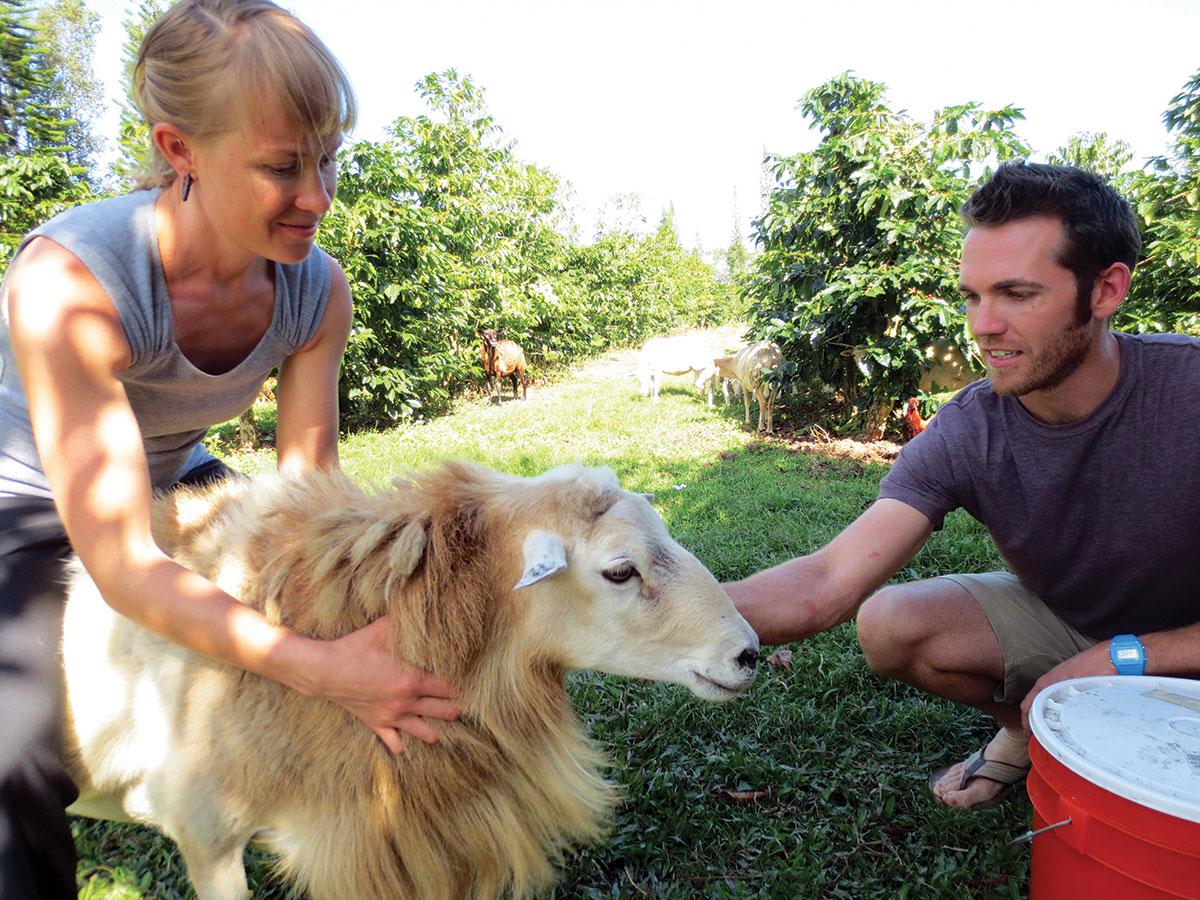 Sheep & Coffee Owners