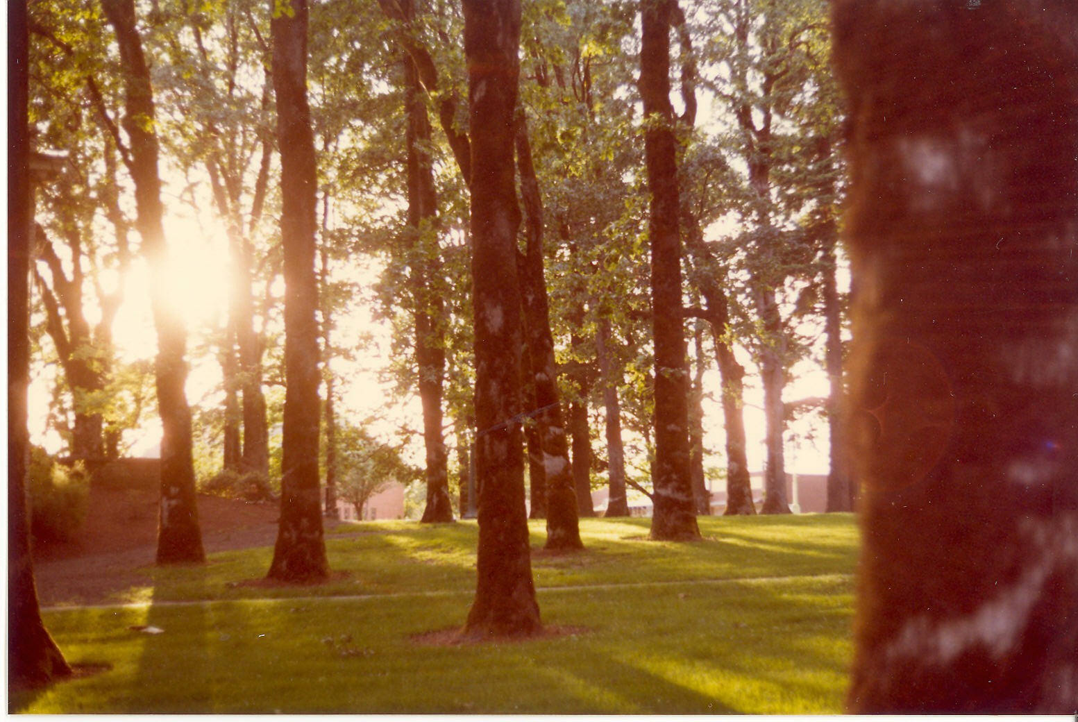Campus during 1980 eruption