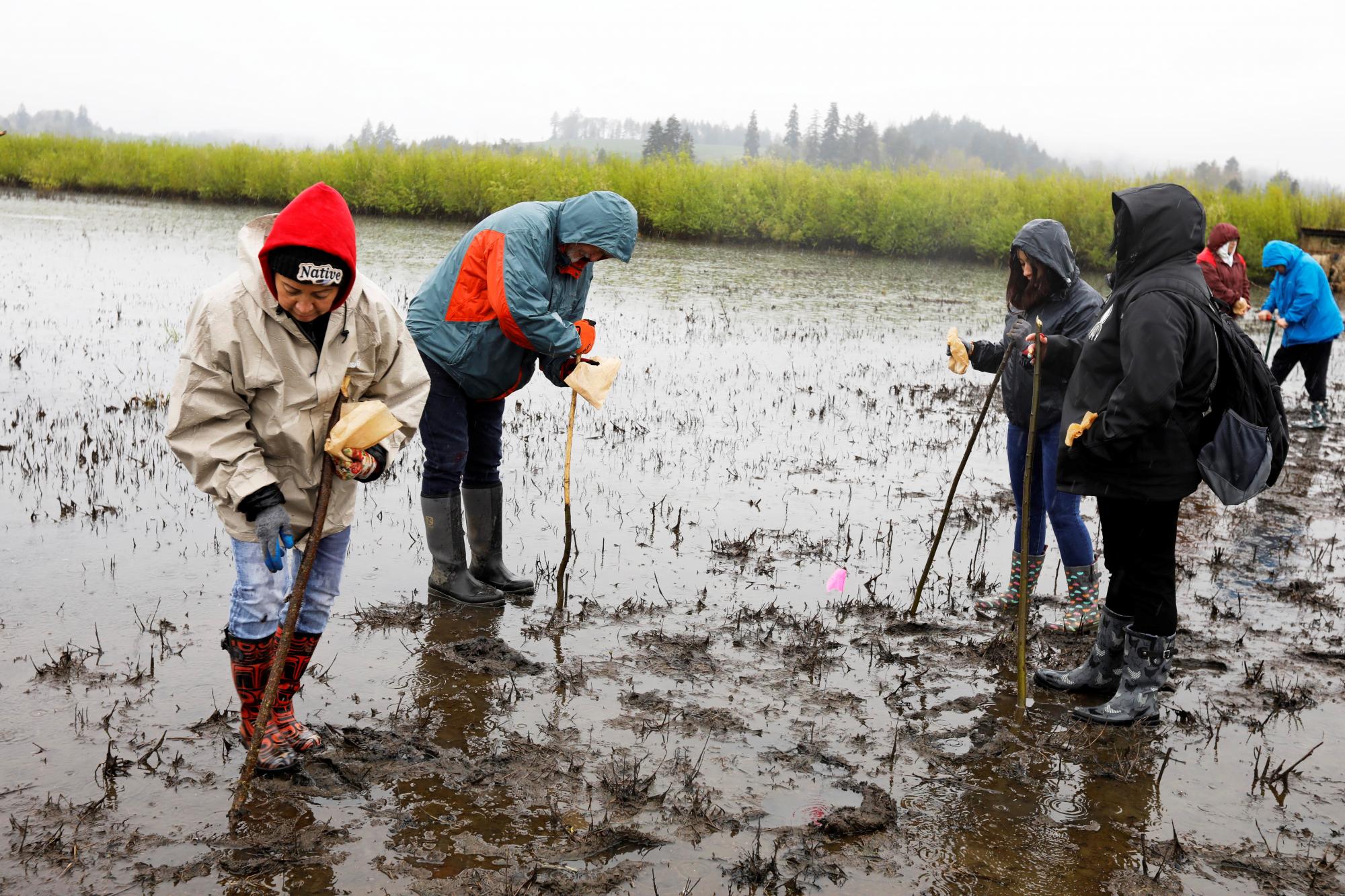 Wapato Lake planting April 2022