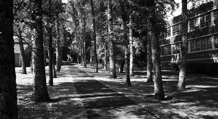 AZ Walk on Pacific University Campus