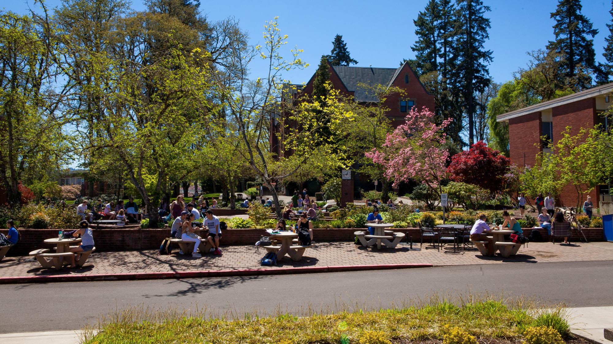 Students in Trombley square