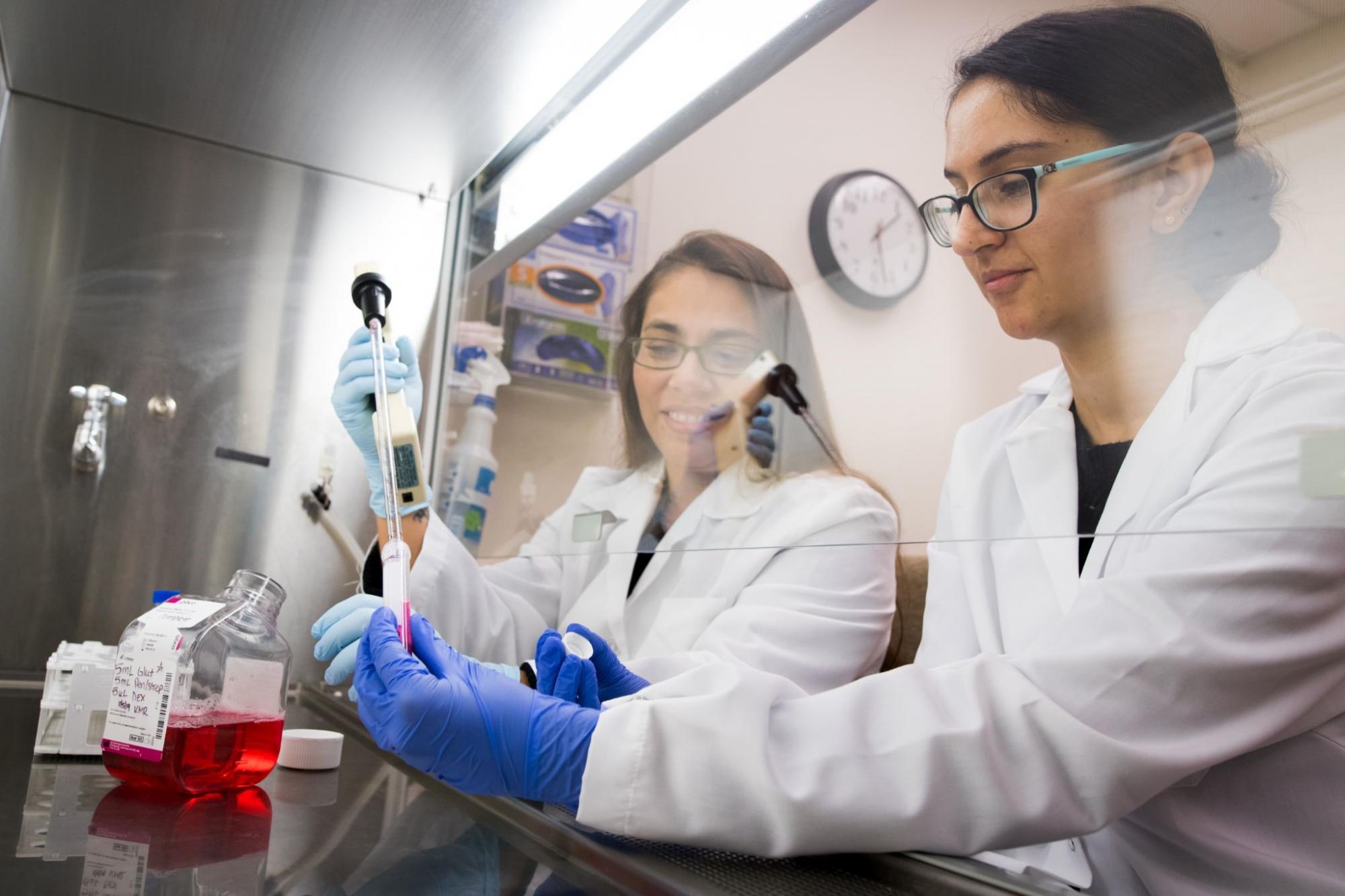 students working in a biological safety cabinet