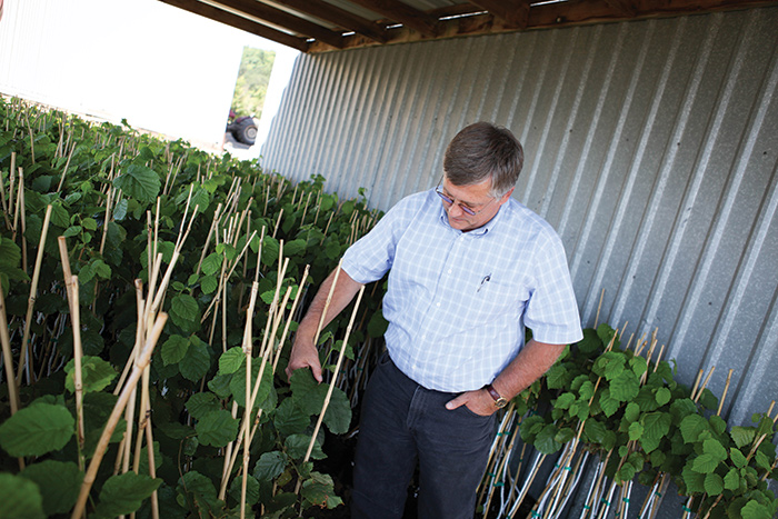 farmer standing next to crops