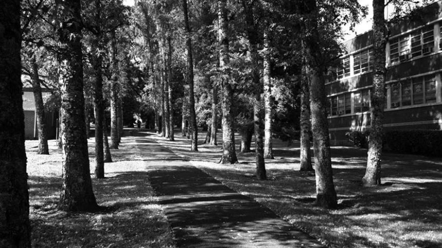 AZ Walk on Pacific University Campus