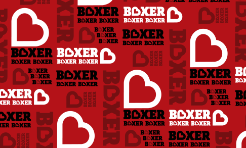 Boxer Giving Day step and repeat