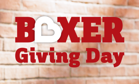 Boxer Giving Day on brick background