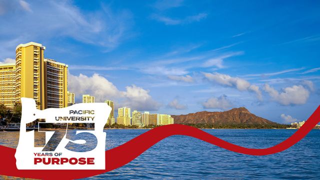 Hawaii shore