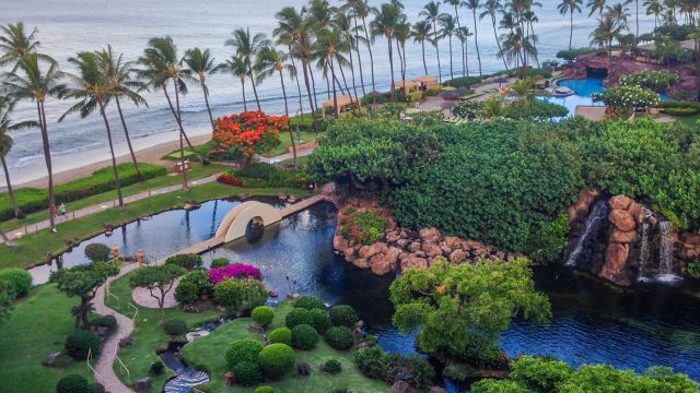 Maui