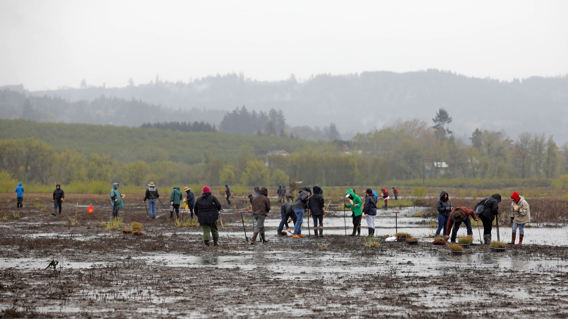 people walking on mud flat 